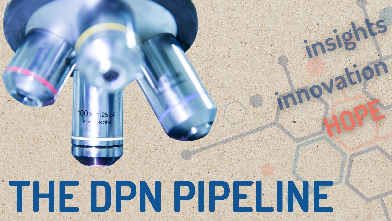 Exploring the DPN Pipeline: Insights, Innovations, and Hope